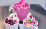 Frozen Yogurt Franchise - Well Established, Famous