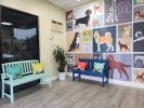 Pet Grooming Shop - Loyal Customer Base