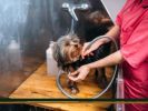 Pet Groomers Supply - 25+ Years In Business