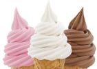 Fast Food Ice Cream Restaurant - Established 30 Yr