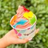 Yogurtland Franchise - Prime Location, Established