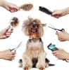 Pet Grooming Shop - Well Established