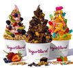 Yogurtland Franchise - Prime Area, Help Run