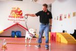 The Dog Stop - America's Premier Dog Care Center