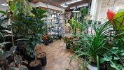 Destination Niche Plant Nursery - With 2 Locations